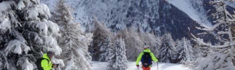 PERFEZIONAMENTO CAMPO LIBERO e FREERIDE 2025/2026